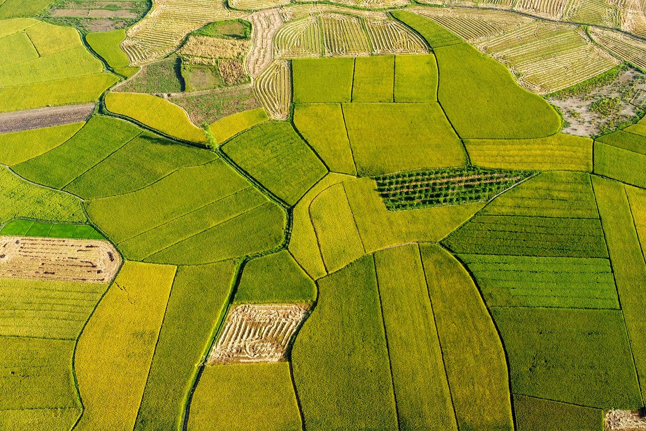 Riz au lait des Asturies - Asturie | Secret World Trip Planner