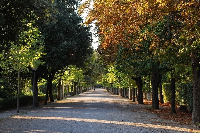 Sabab kang ngarah Patiné Bêbayi iku Wus mati, - Cortona | Secret World Trip Planner