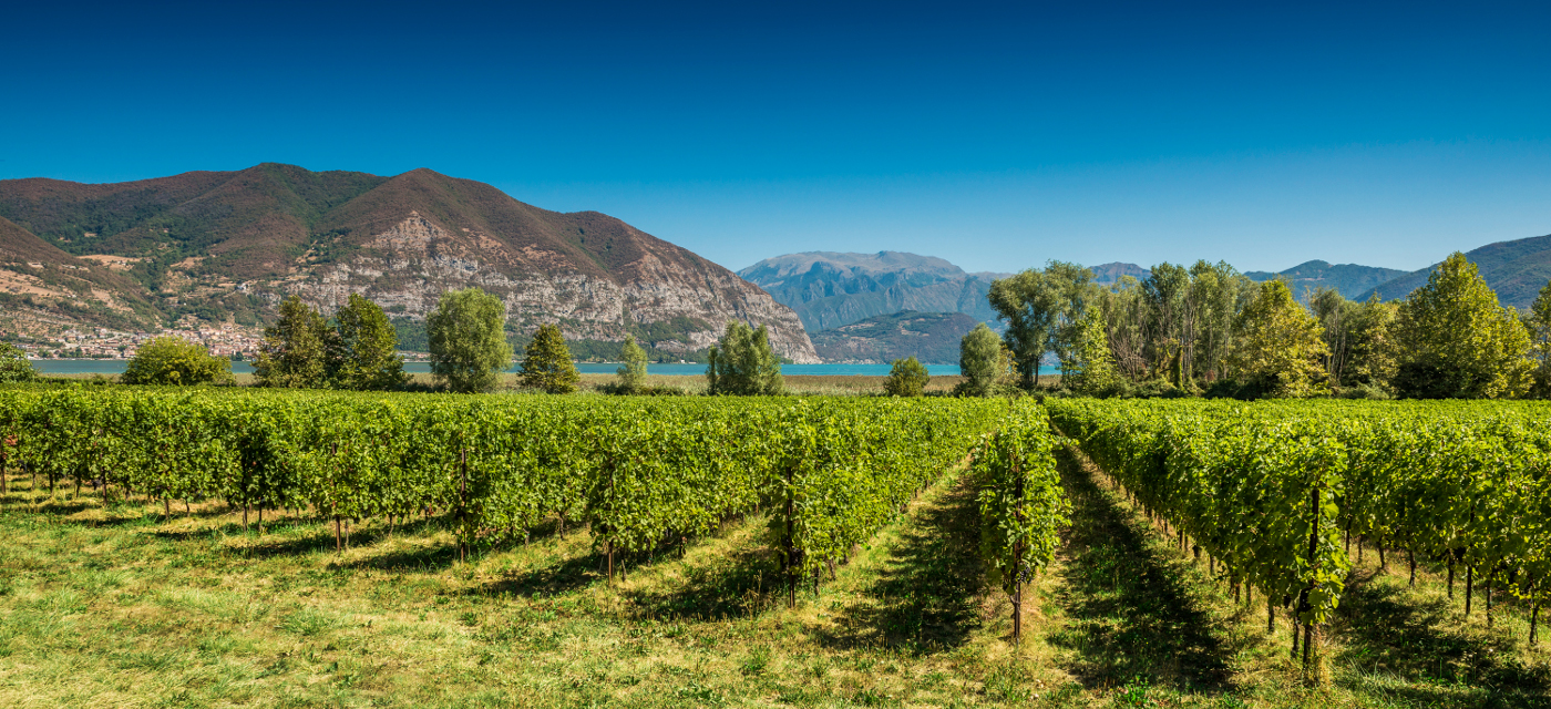 Franciacorta - Provaglio d'Iseo | Secret World Trip Planner