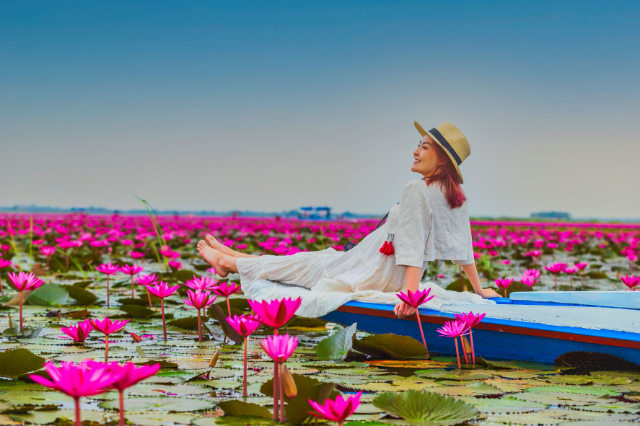 लाल लोटस तलाव - ตำบล แชแล | Secret World Trip Planner