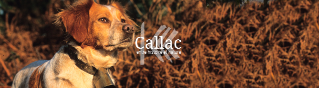 Callac și spanielii de Bretaña - Callac | Secret World Trip Planner