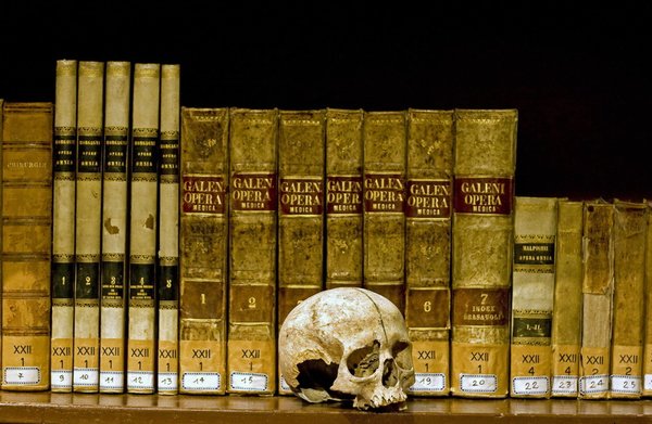 Museo ng Anatomya - Napoli | Secret World Trip Planner