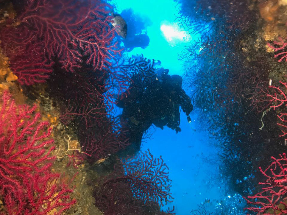 La Secchia Del Banco di Santa Croce - Castellammare di Stabia | Secret World Trip Planner