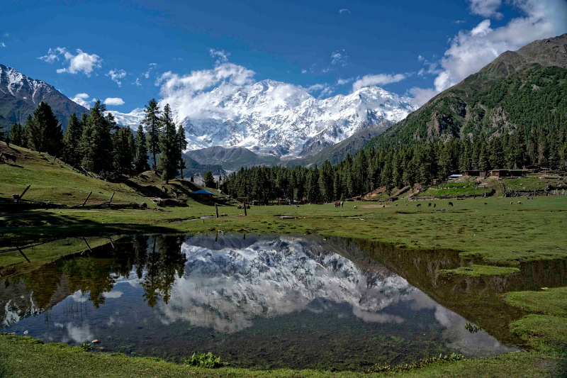 Fairy Meadows National Park, პაკისტანი - Fairy Meadows | Secret World Trip Planner