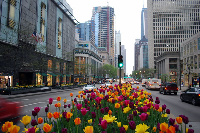 Milja E Mrekullueshme është mekë për turistët. - Chicago | Secret World Trip Planner