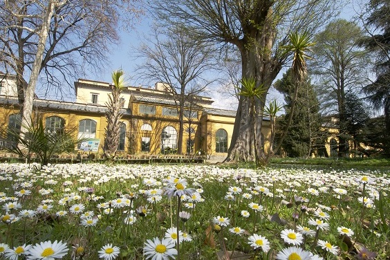 Firenca: Giardino dei semplici  - Firenze | Secret World Trip Planner