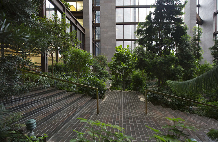 Ню-Йорк: Атриумный Боғ Фонди Форда - New York | Secret World Trip Planner