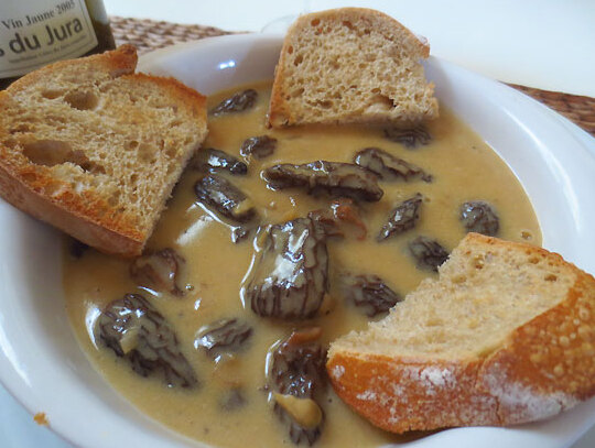 Francia y Dodo | Costra de setas - Borgogna | Secret World Trip Planner