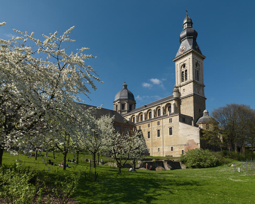 Abadía de San Pedro