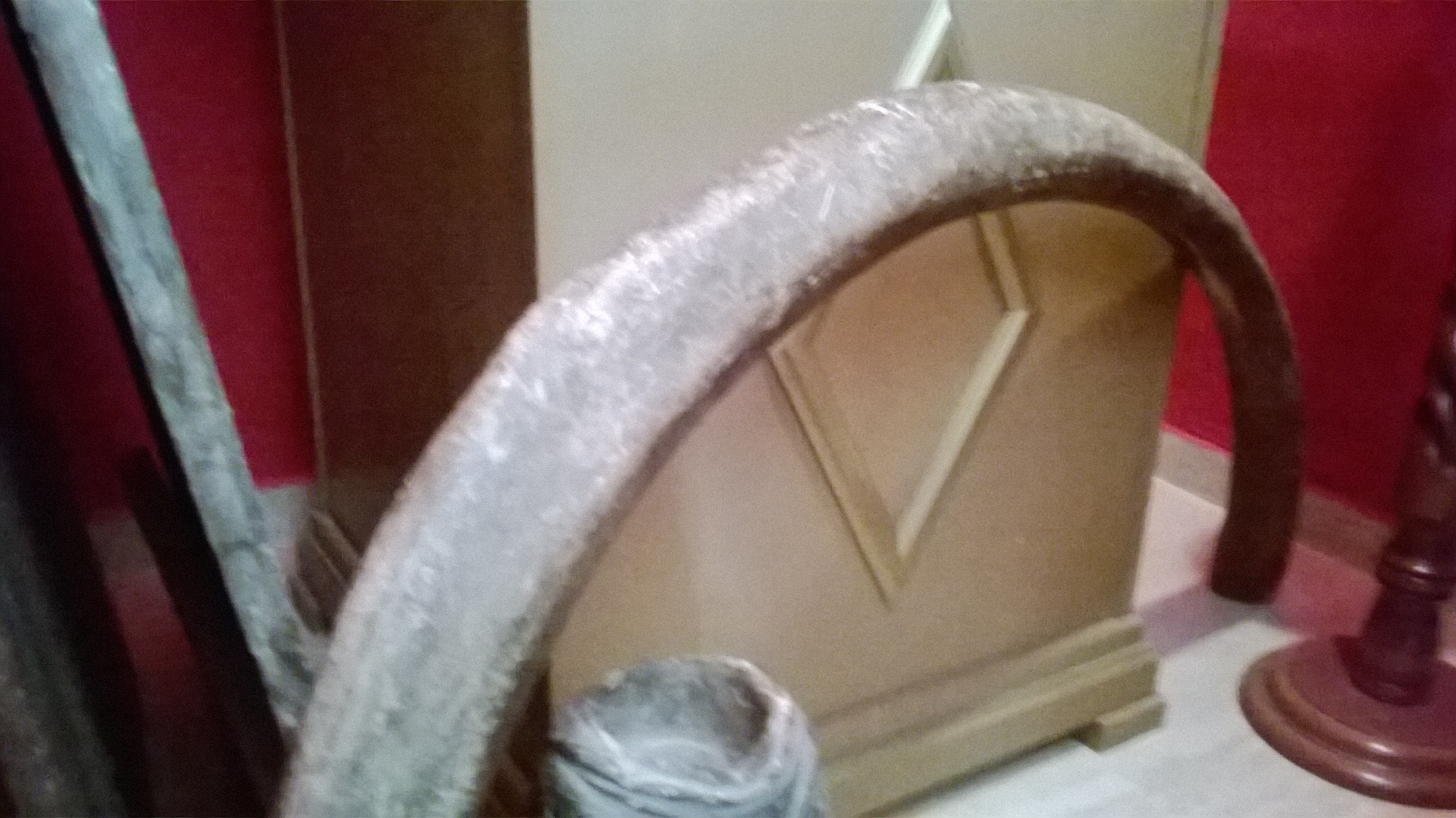 டிராகன் விலா எலும்பு