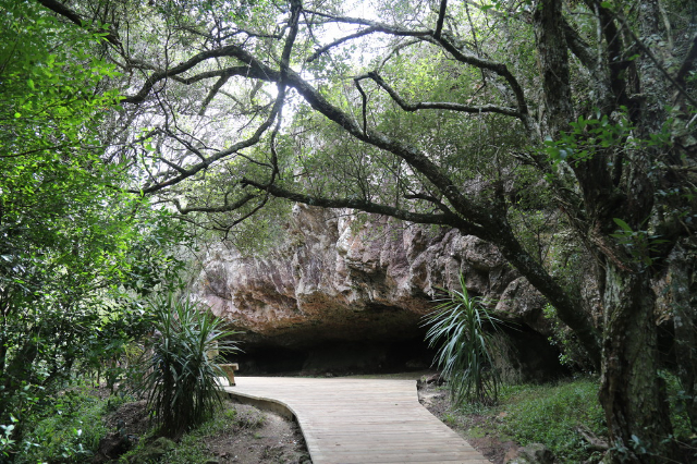 Grotta di Salamanca — Maldonado