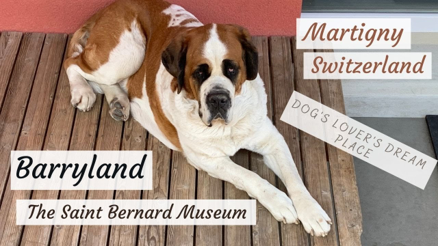 Barryland, St. Bernard hundemuseet - Martigny | Secret World Trip Planner