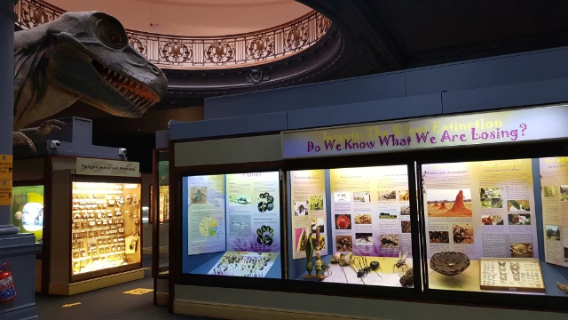 Durban naturvetenskapliga museum - Durban | Secret World Trip Planner