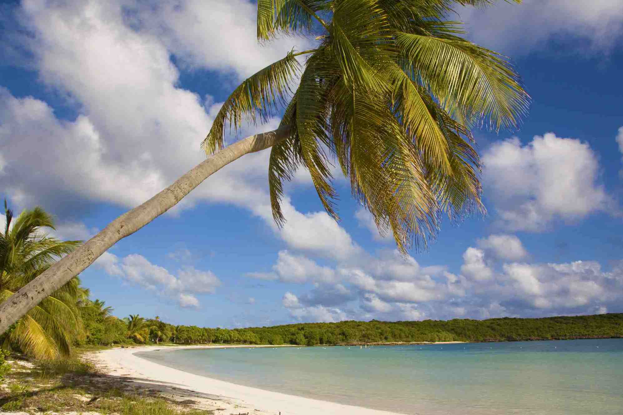 Insel Vieques - Vieques | Secret World Trip Planner