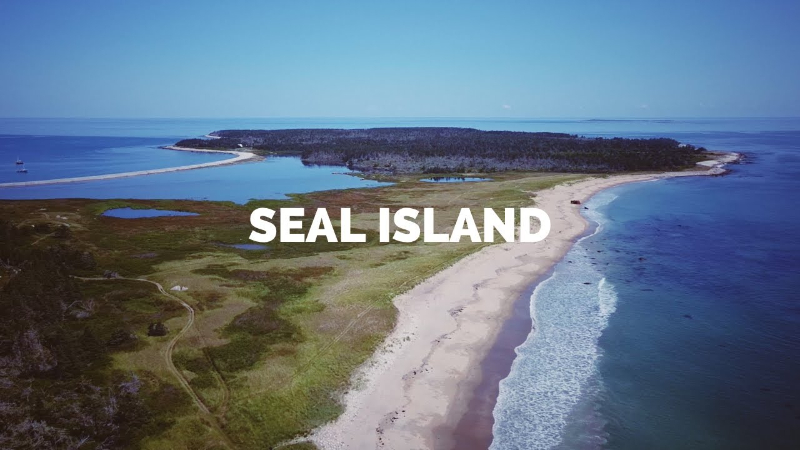 Otok tuljana - Seal Island | Secret World Trip Planner