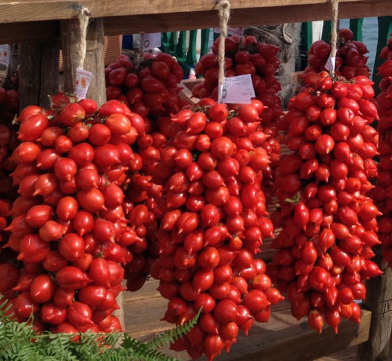 Vesuvius piennolo tomatoes - Somma Vesuviana | Secret World Trip Planner