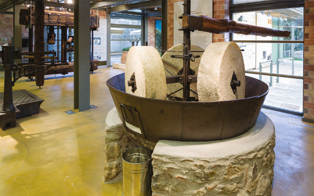 Unveiling the Liquid Gold: A Journey Through Sparti's Museum of Olive and Greek  - Sparti | Secret World Trip Planner