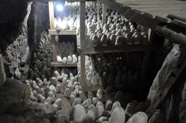 mapango ya jibini ya Roquefort - Roquefort-sur-Soulzon | Secret World Trip Planner