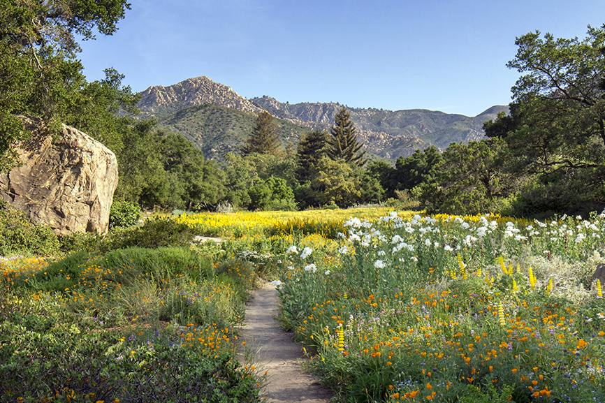 Santa Barbara Botanic Garden - Santa Barbara | Secret World Trip Planner