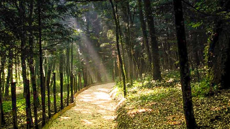 Montedimezzo MAB Panta - Vastogirardi | Secret World Trip Planner