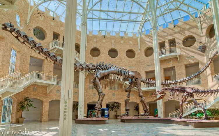 Музей Естественной истории fernbank - Atlanta | Secret World Trip Planner