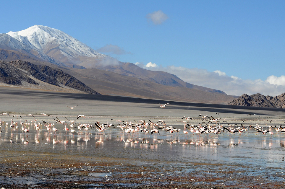 아르헨티나의 라구나 그란데 - Antofagasta de la Sierra | Secret World Trip Planner