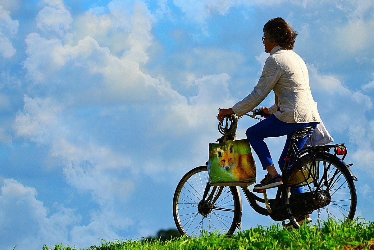 Конногаврдейски Манеж, училище по конна езда - Sankt-Peterburg | Secret World Trip Planner