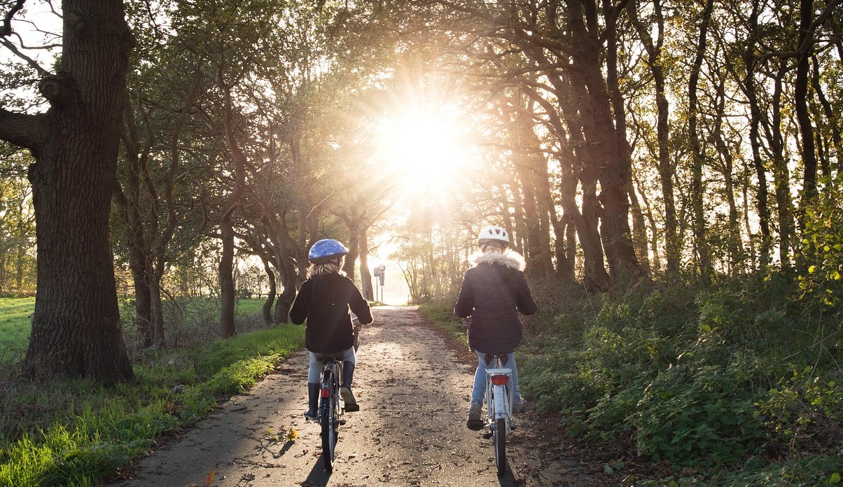 Конногаврдейски Манеж, училище по конна езда - Sankt-Peterburg | Secret World Trip Planner