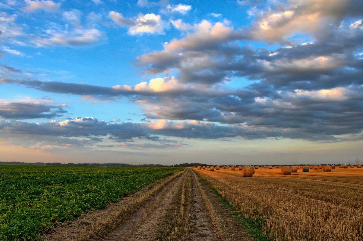 The Bisti/De-Na-Zin Wilderness - Bloomfield | Secret World Trip Planner