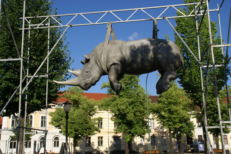 Rhino penjant - Potsdam | Secret World Trip Planner