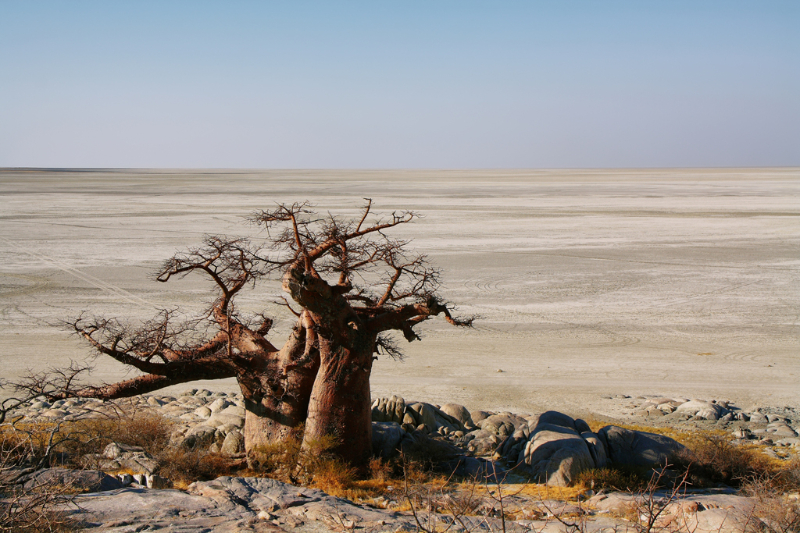 הפאן, בוטסואנה - Makgadikgadi Pans | Secret World Trip Planner