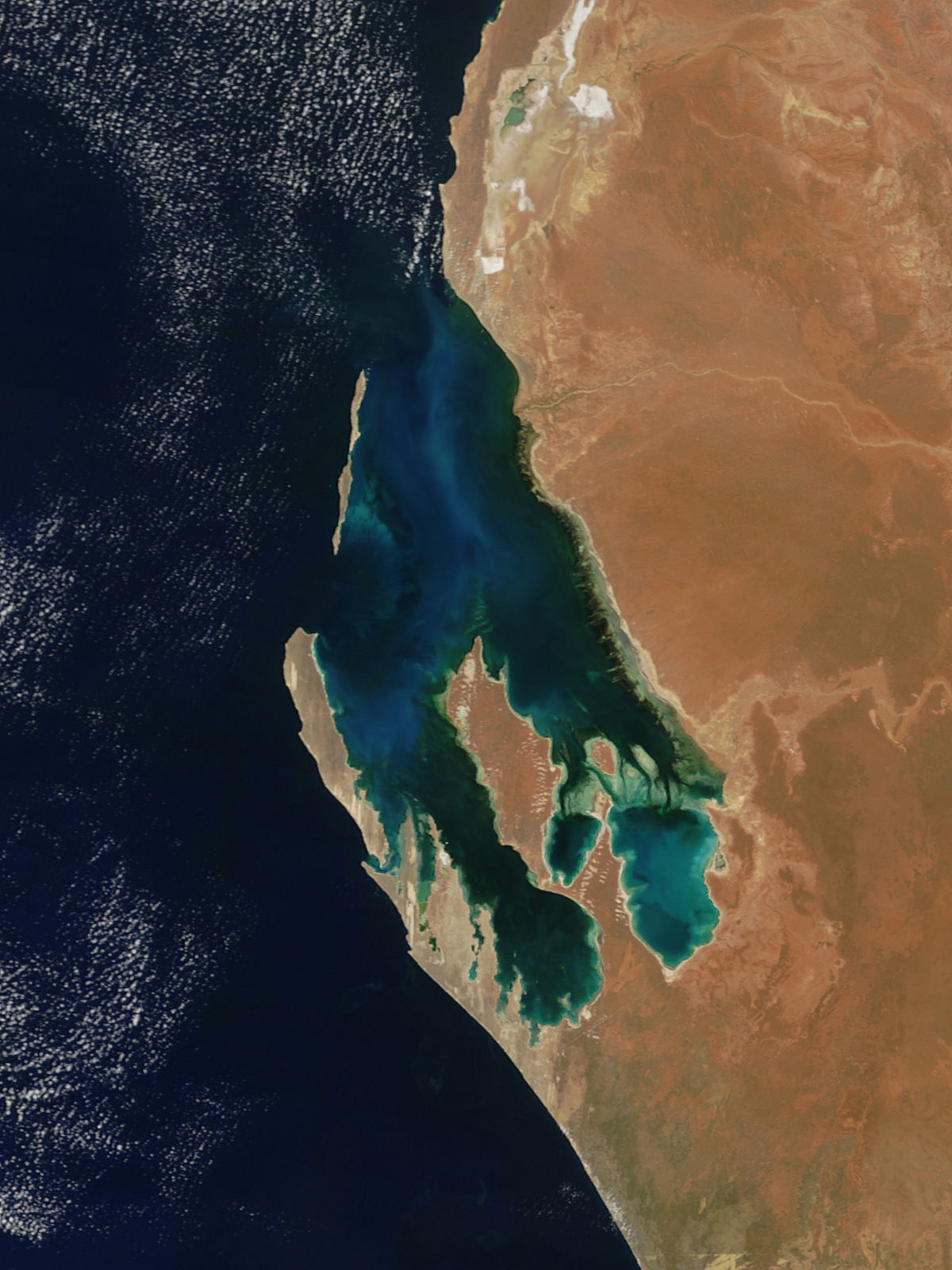 Shark Bay, ein Weltnaturerbe - Francois Peron National Park | Secret World Trip Planner