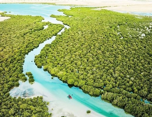 ഖത്തർ | അല് Thakira കണ്ടലുകള് | Secret World Trip Planner