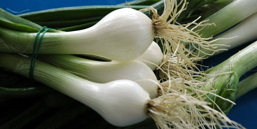 Onion Nocerino DOP - Sarno | Secret World Trip Planner