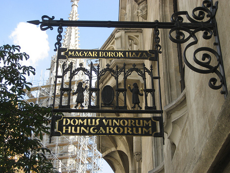 Magyar Shelvey Háza: Nyumba ya Hungarian vin  - Budapest | Secret World Trip Planner
