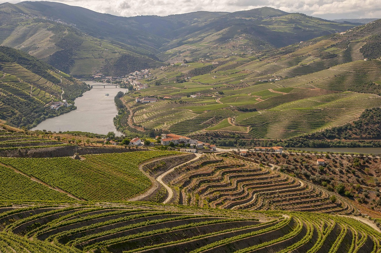 Luka je duša cijele regije Porto i Douro - Porto | Secret World Trip Planner