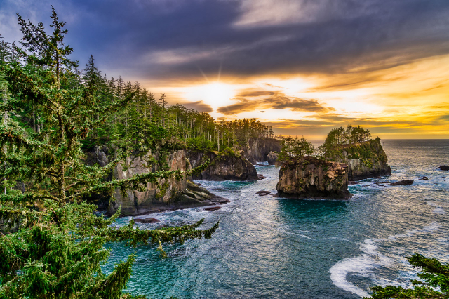 کیپ چاپلوسی - Cape Flattery Trail | Secret World Trip Planner