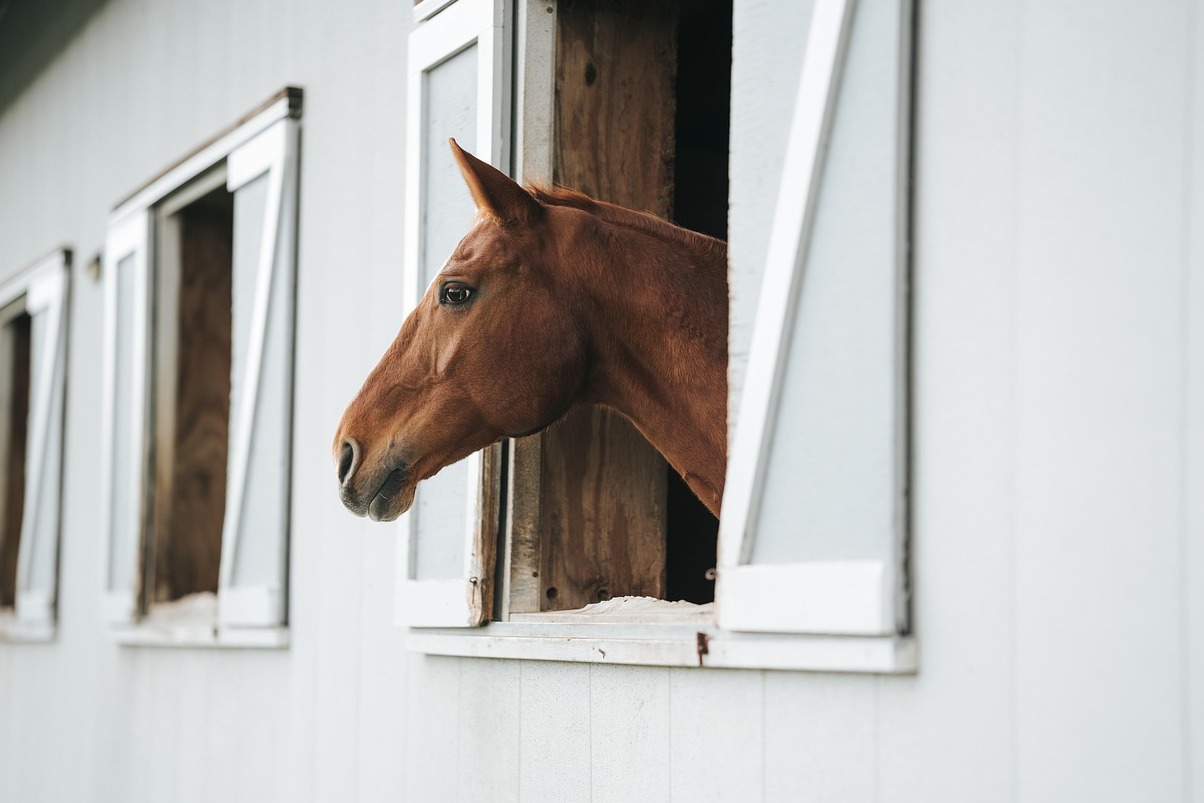 Spænska Reið Skólann á Breskum Hesthús í Do - Wien | Secret World Trip Planner