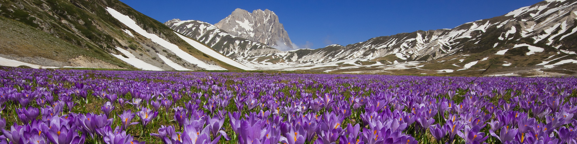 Navelli safran - Navelli | Secret World Trip Planner