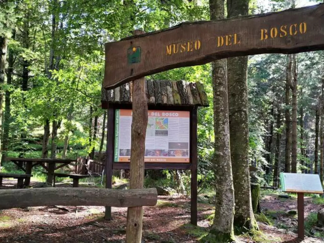 Μουσείο Woodland - Lago delle Lame | Secret World Trip Planner