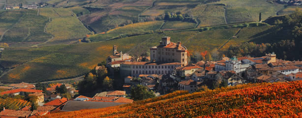 Barolo en zijn wijn - Barolo | Secret World Trip Planner