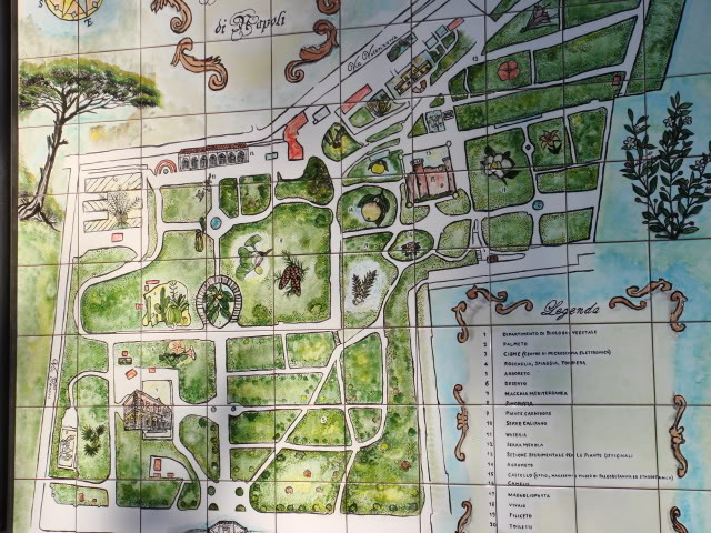 Botanisk have i Napoli