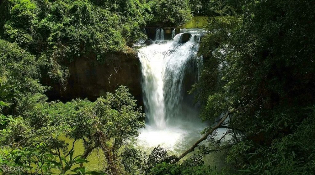 Khao Yai အမျိုးသားဥယျာဉ် - Provincia di Nakhon Ratchasima | Secret World Trip Planner