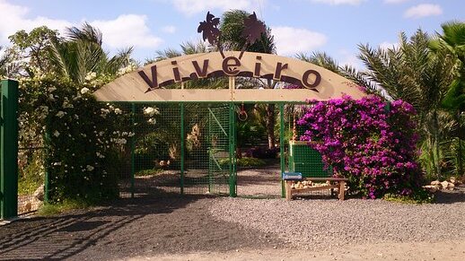 サルのサンディ：ビベイロ植物園と動物園 | Secret World Trip Planner