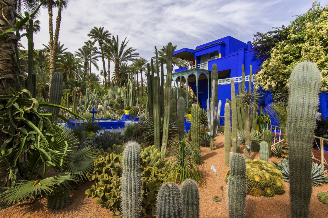 Yves St Laurent and Piere Bergé and the Jardin Majorelle - Marrakech | Secret World Trip Planner
