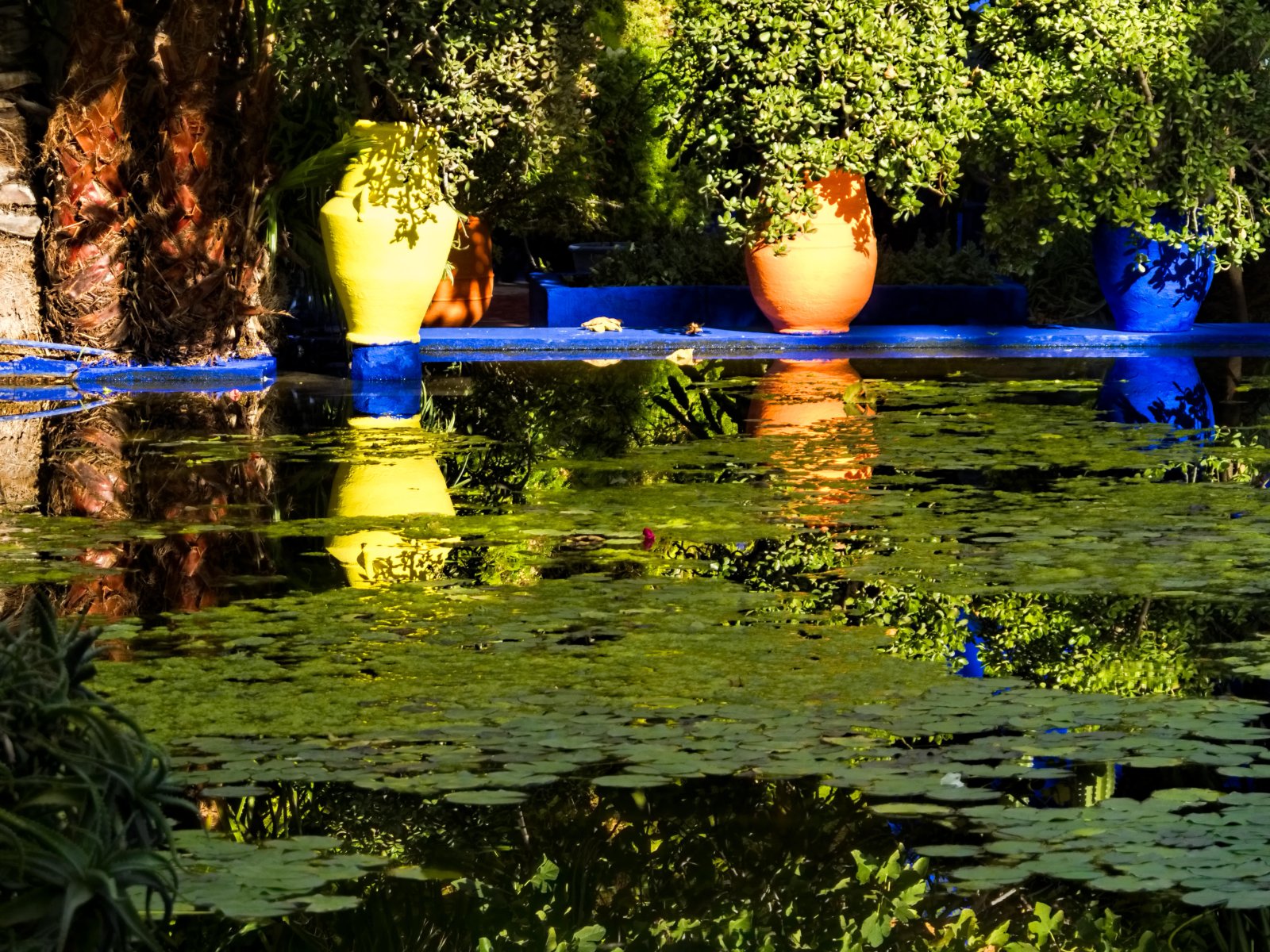 Yves St Laurent and Piere Bergé and the Jardin Majorelle - Marrakech | Secret World Trip Planner