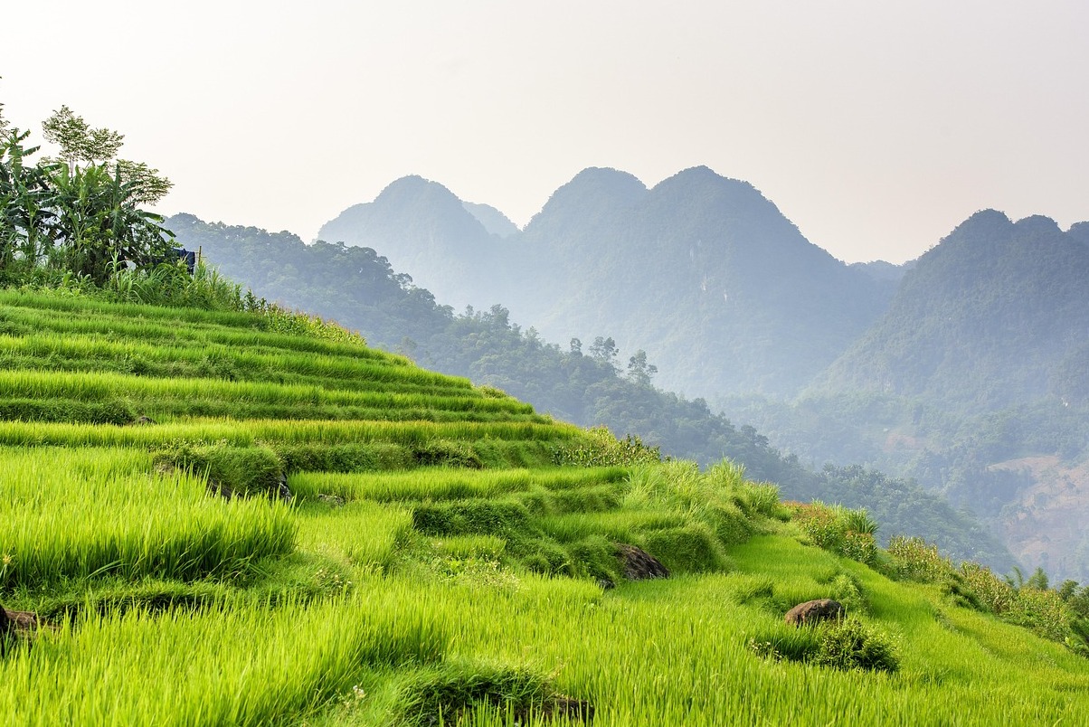 Marken und Ernährung | Schnecken all'urbinieren - Urbino | Secret World Trip Planner