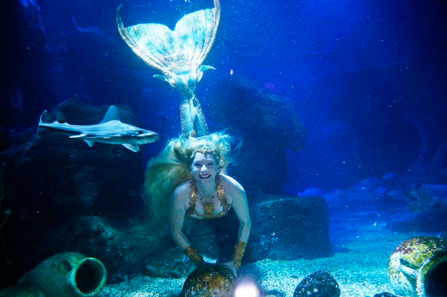 Kehidupan Laut Speyer - Speyer | Secret World Trip Planner