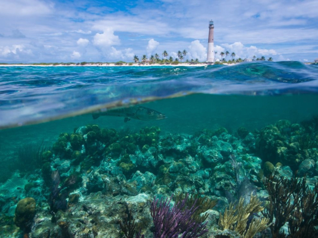 Parc Nacional Biscayne - Florida | Secret World Trip Planner