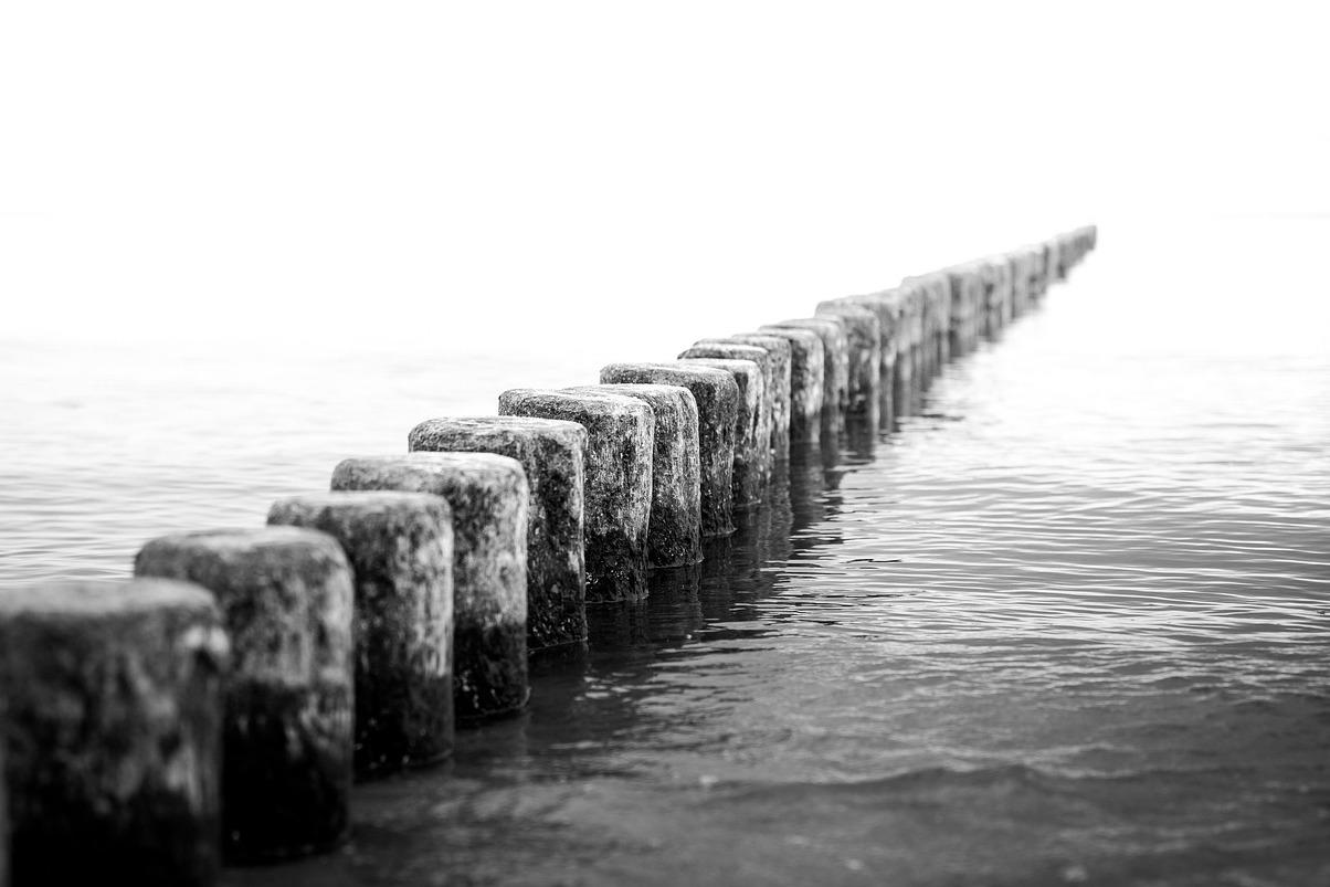 Αβινιόν: συλλογή Lambert στο Musée d'art Contemporain - Avignon | Secret World Trip Planner